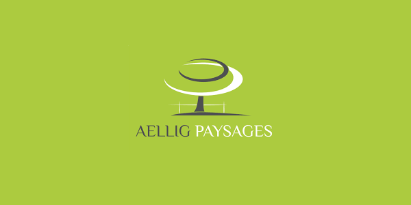 Aellig